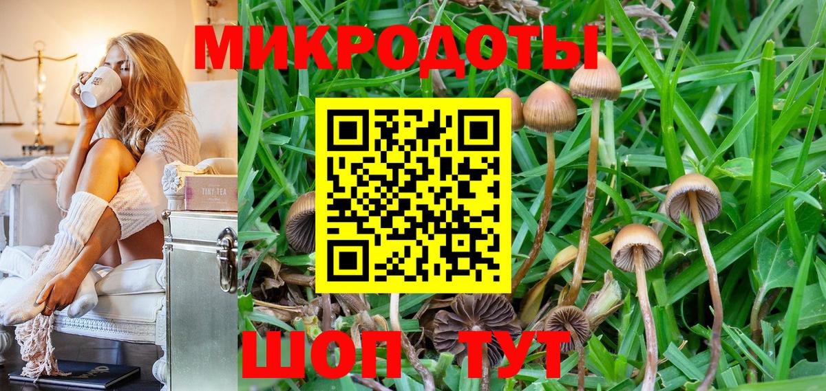 Галлюциногенные грибы прущие грибы  Вход с VPN  Пушкино 
